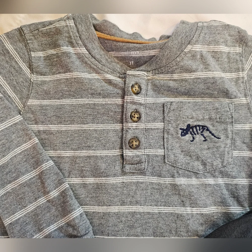 Set Of Two Carter's Long-Sleeve Dinosaur Tees- 3T
